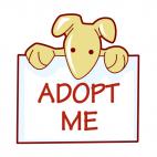 Dog with adopt me sign, decals stickers