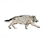 Wolf walking, decals stickers