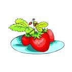 Strawberries, decals stickers