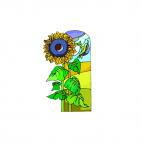 Sunflowers, decals stickers