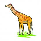 Giraffe, decals stickers