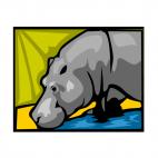 Hippopotamus, decals stickers