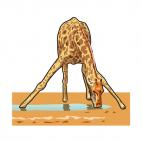 Giraffe drinking water, decals stickers