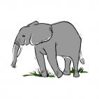 Elephant, decals stickers