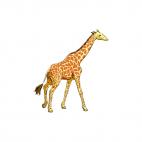 Giraffe, decals stickers