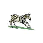 Zebra running, decals stickers