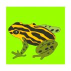 Frog, decals stickers