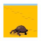 Turtle walking on sand, decals stickers