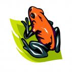 Frog, decals stickers