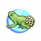 Frog, decals stickers