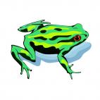 Frog, decals stickers