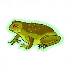 Green frog, decals stickers