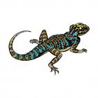 Lizard, decals stickers