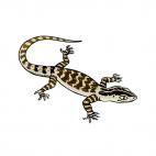 Lizard, decals stickers