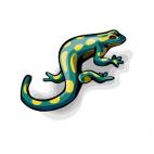 Lizard, decals stickers