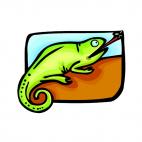 Chameleon eating fly, decals stickers