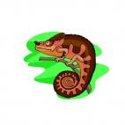 Brown chameleon on a twig, decals stickers