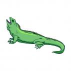 Iguana, decals stickers