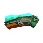 Iguana on a branch, decals stickers