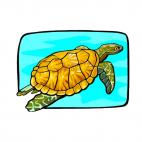 Turtle swimming, decals stickers