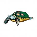 Turtle, decals stickers