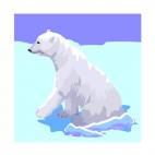 Polar bear, decals stickers