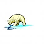 Polar bear catching fish, decals stickers