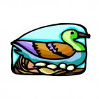 Duck keeping eggs warm., decals stickers