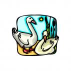 Swans, decals stickers