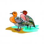 Ducklings, decals stickers