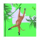 Monkey in the jungle, decals stickers