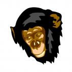 Chimpanzee face, decals stickers