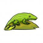 Lizard on a rock, decals stickers