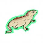 Iguana, decals stickers