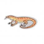 Iguana, decals stickers