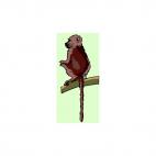 Baboon on a branch, decals stickers