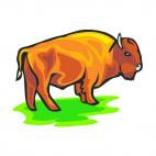 Bison, decals stickers