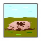 Pig playing in mud, decals stickers