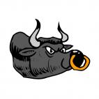 Bull, decals stickers