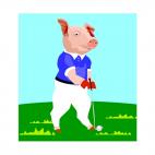 Pig playing golf, decals stickers