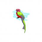 Exotic bird, decals stickers