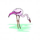 Flamingo, decals stickers