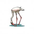 White flamingo, decals stickers