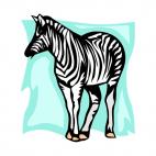 Zebra, decals stickers