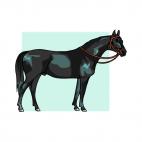 Black horse, decals stickers