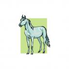 Horse, decals stickers