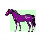 Purple horse, decals stickers