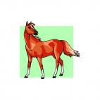 Red horse, decals stickers