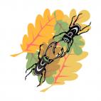 Scarabs fighting, decals stickers