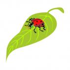 Ladybug on a leaf, decals stickers